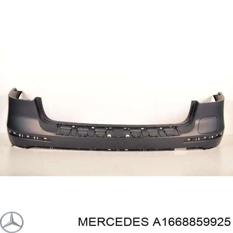  A1668859925 Mercedes