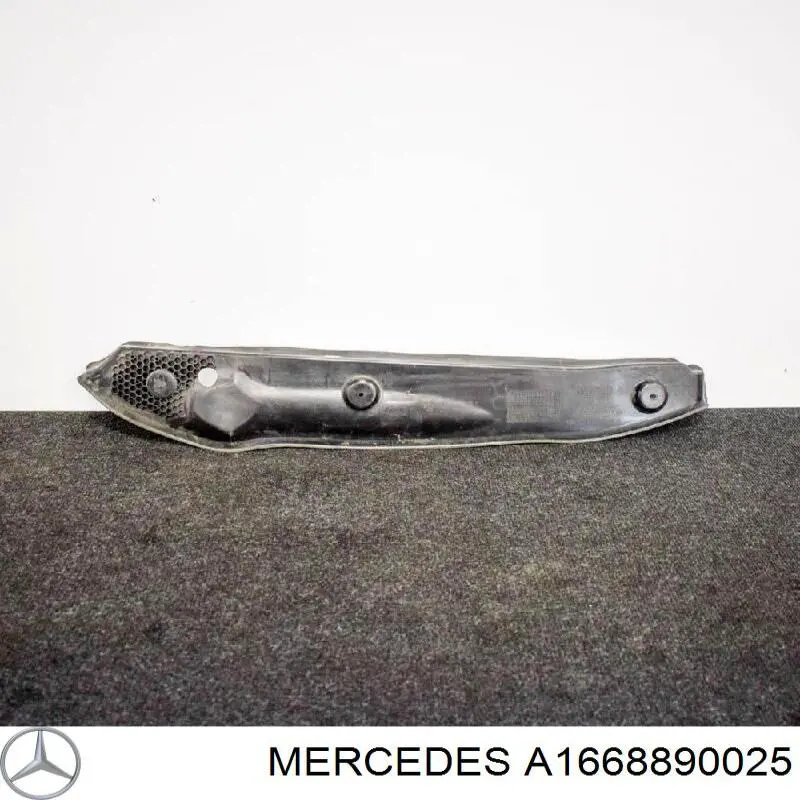 A1668890025 Mercedes 