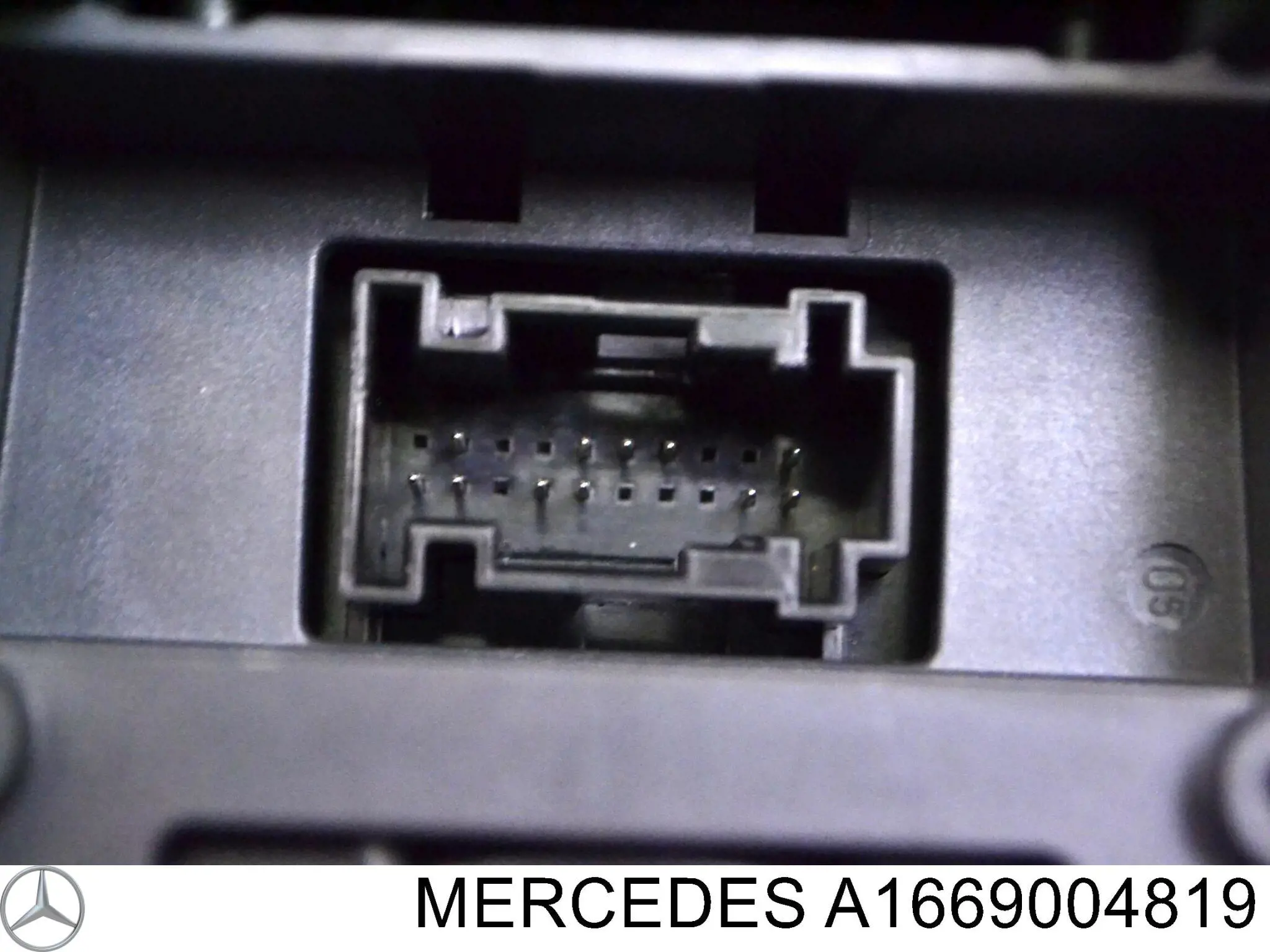 A1669004819 Mercedes 