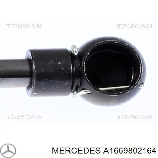 A1669802164 Mercedes