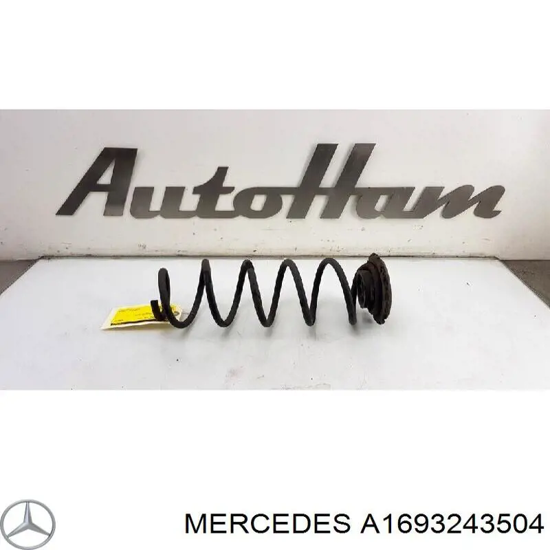 A1693243504 Mercedes пружина задняя