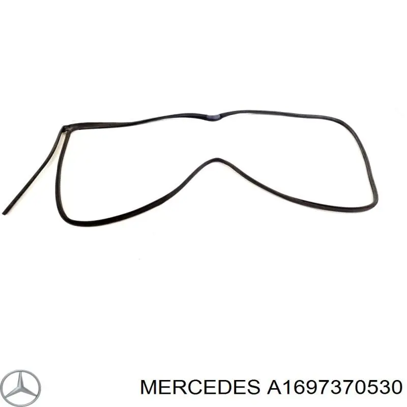 A1697370530 Mercedes 