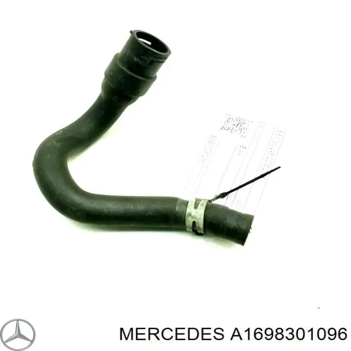  A1698301096 Mercedes