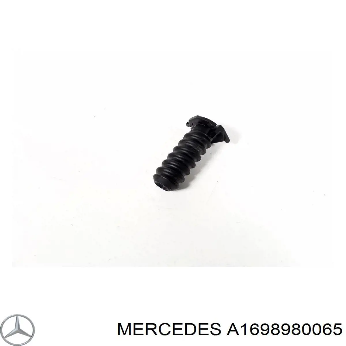  1698980065 Mercedes