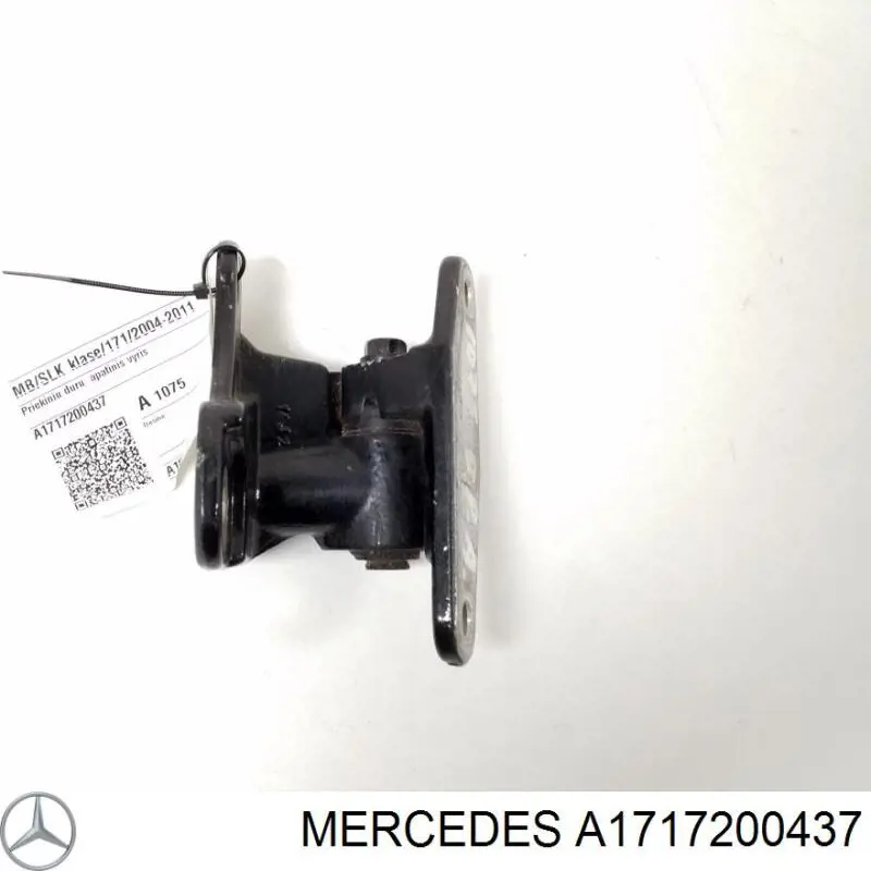 A1717200437 Mercedes 