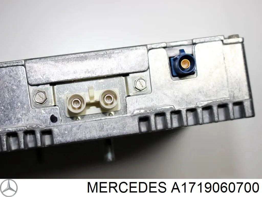 A1719060700 Mercedes 