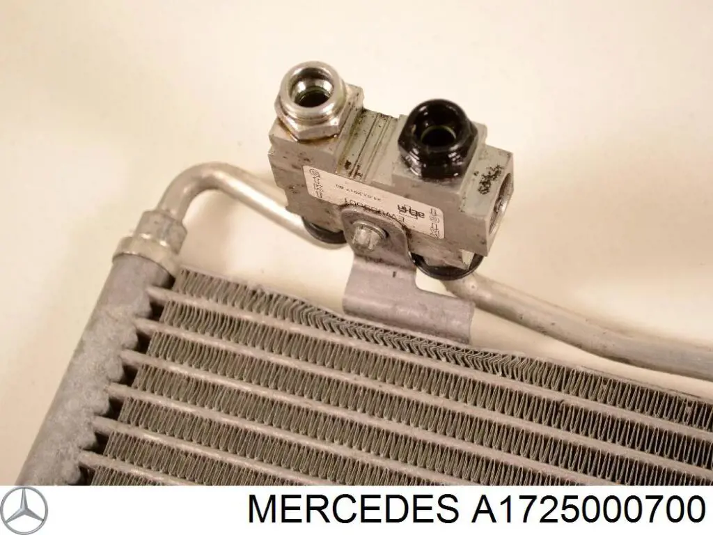  A1725000700 Mercedes