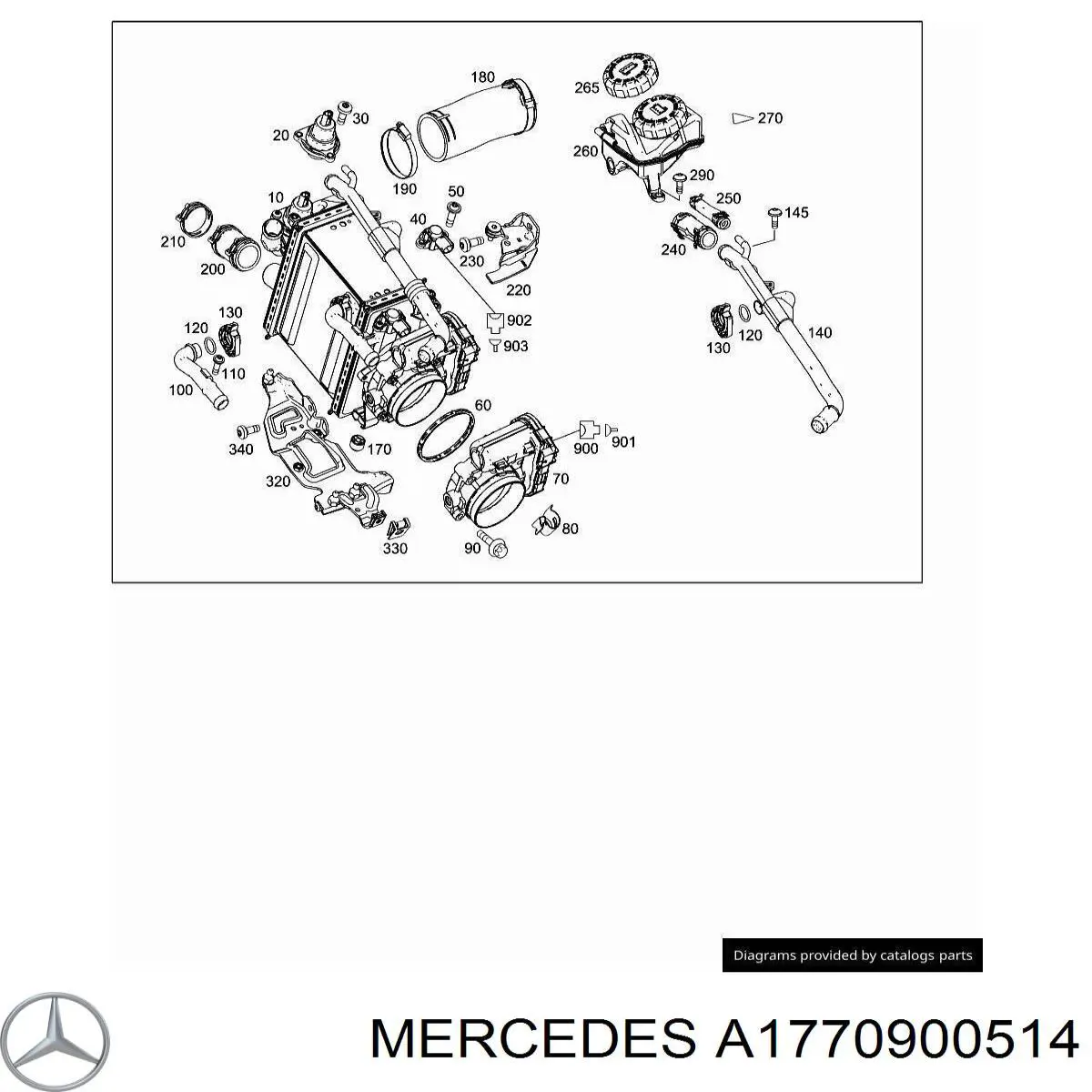  1770900514 Mercedes