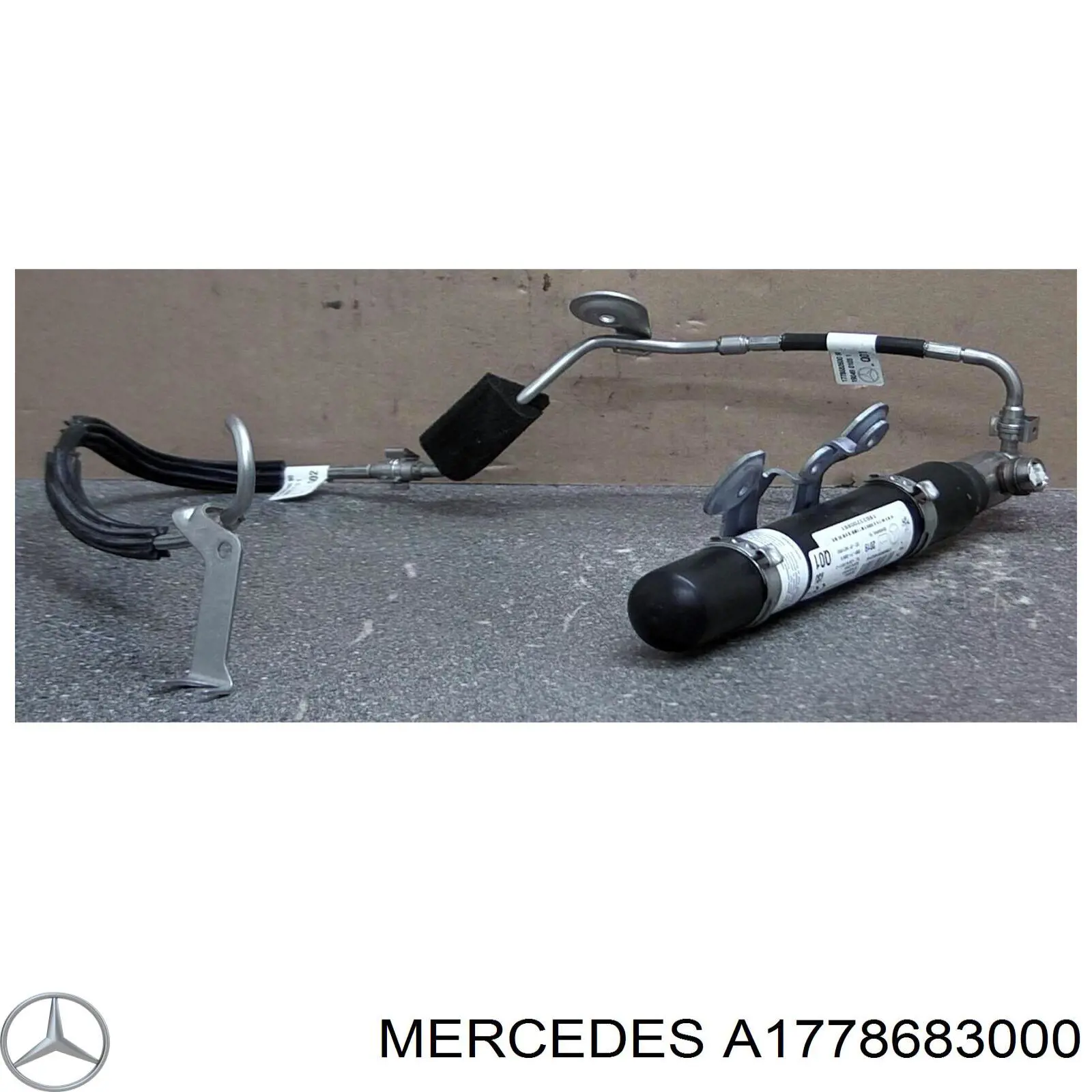 1778683000 Mercedes 