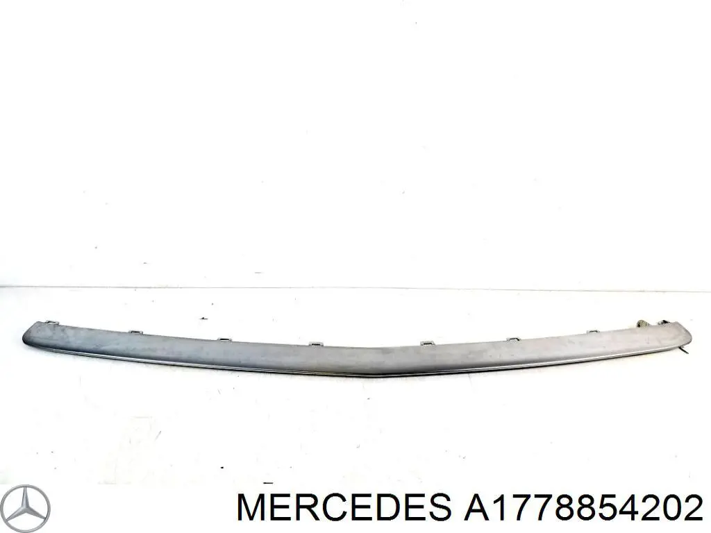  1778854202 Mercedes