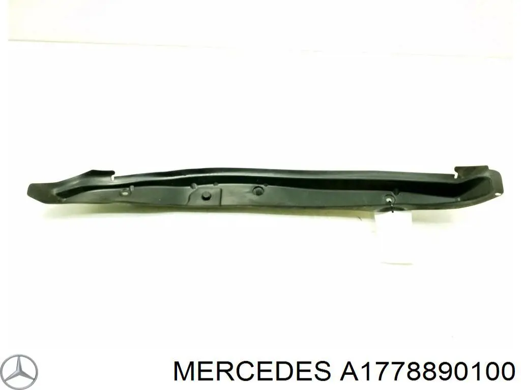 A1778890100 Mercedes 