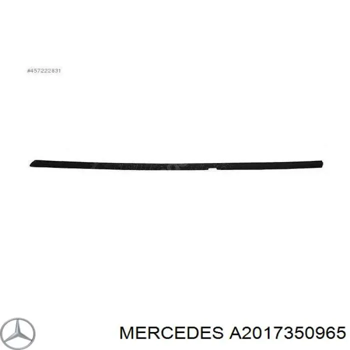  A2017350965 Mercedes