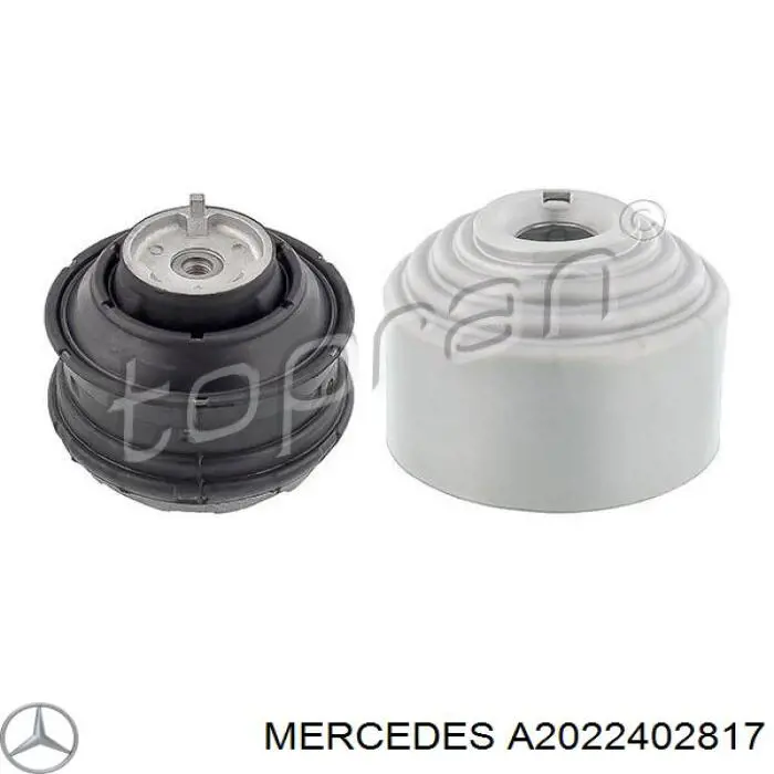 A2022402817 Mercedes подушка (опора двигателя левая/правая)