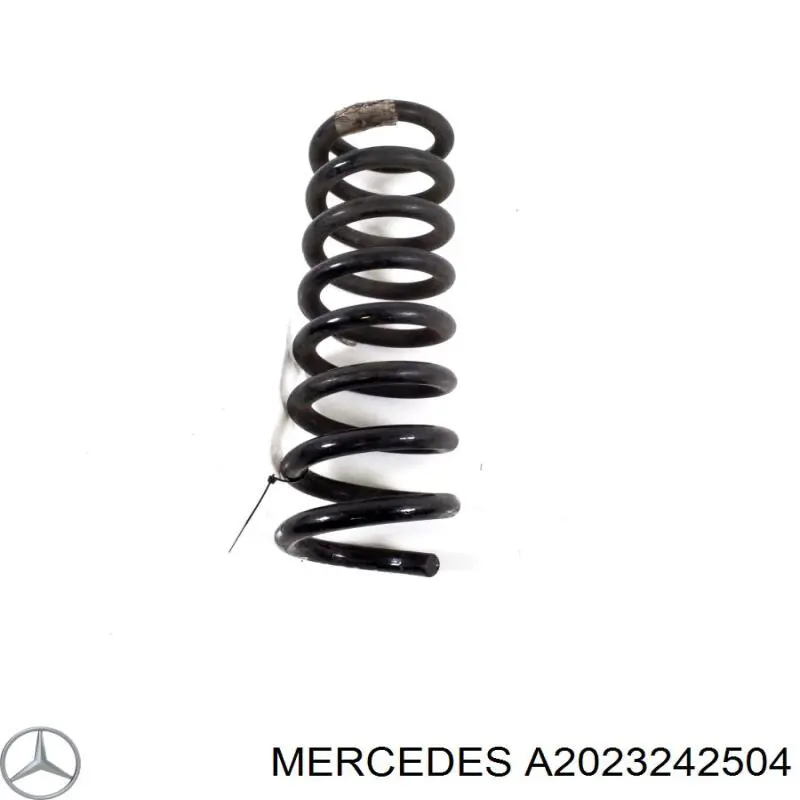 A2023242504 Mercedes пружина задняя