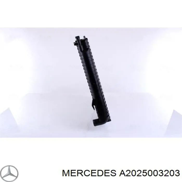A2025003203 Mercedes радиатор