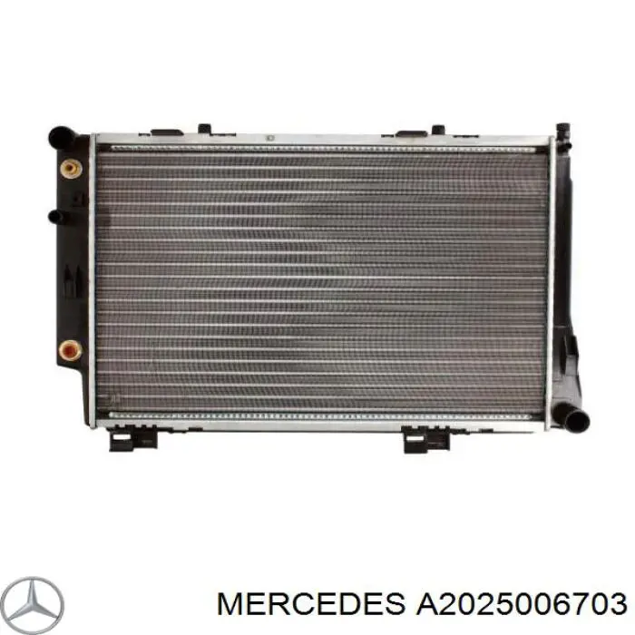 A2025006703 Mercedes радиатор