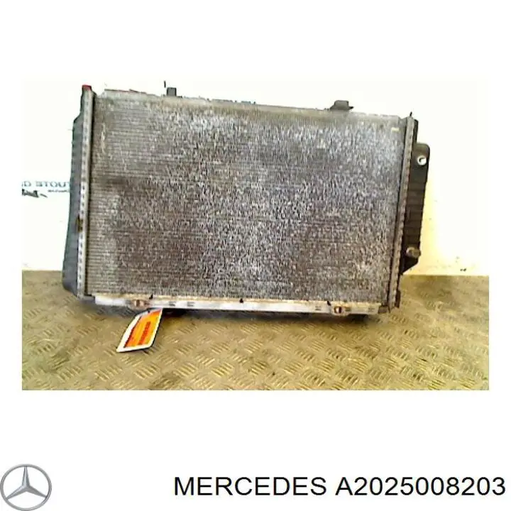 A2025008203 Mercedes радиатор
