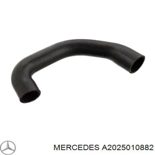 Патрубок радиатора A2025010882 Mercedes