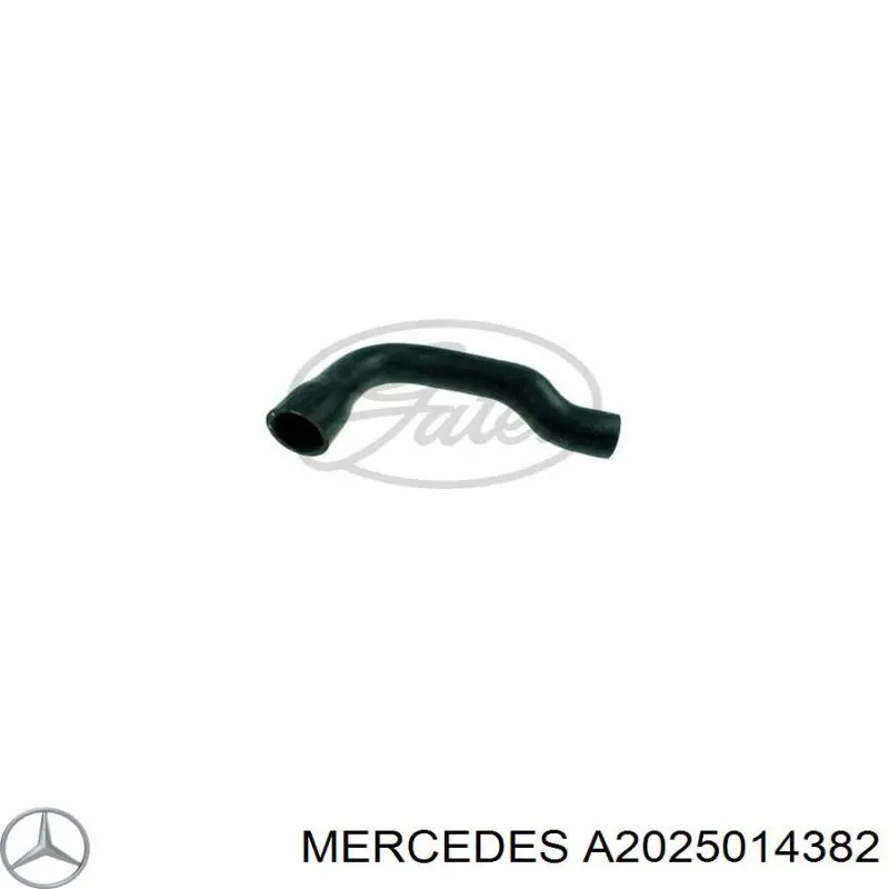 A2025014382 Mercedes mangueira (cano derivado inferior do radiador de esfriamento)