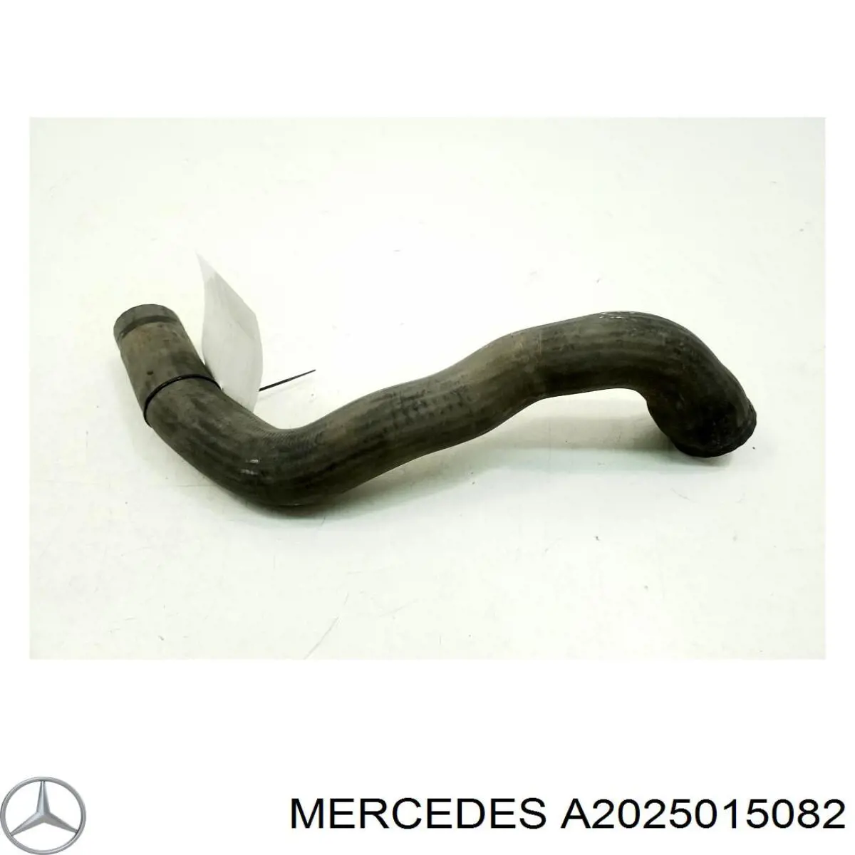 A2025015082 Mercedes шланг (патрубок радиатора охлаждения нижний)