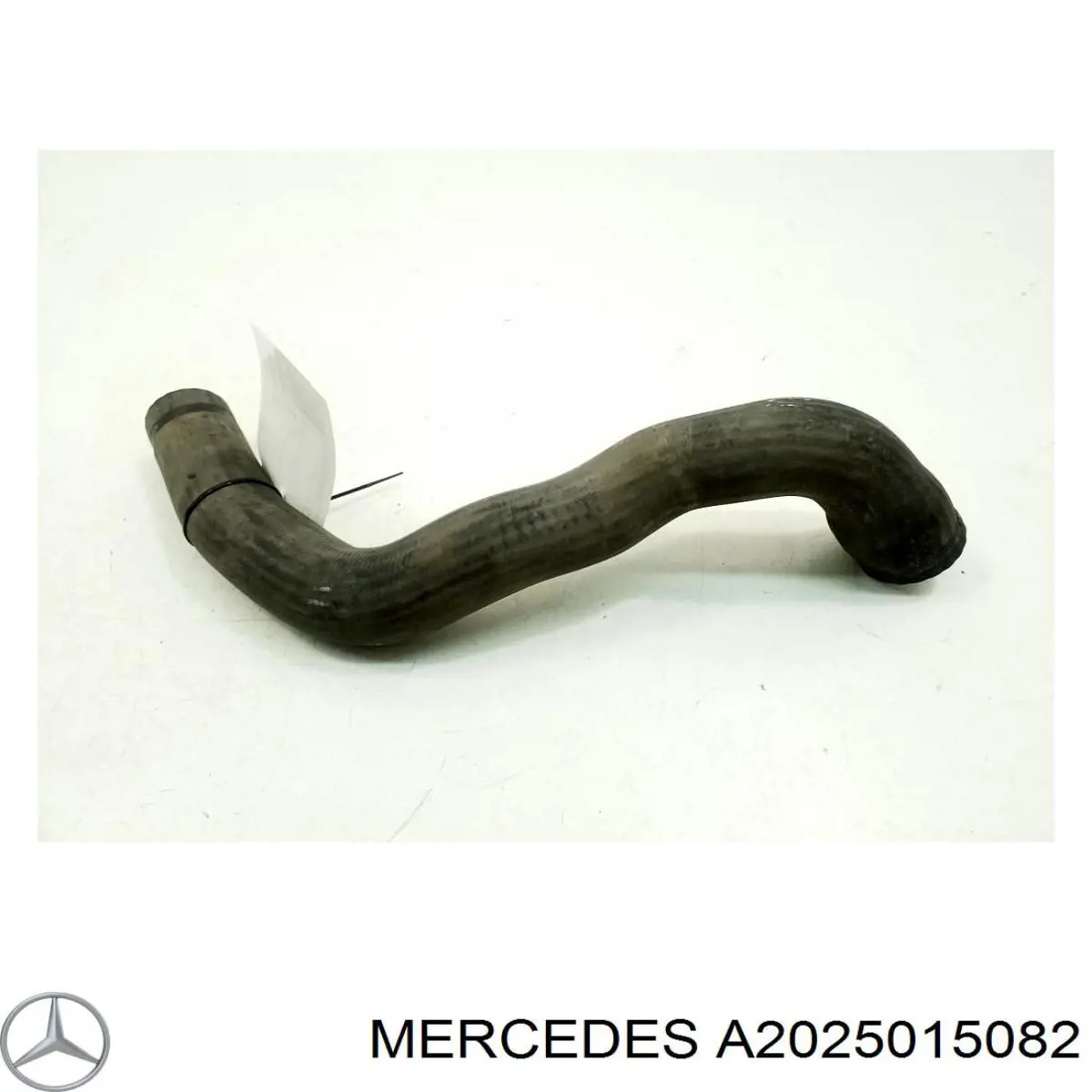 Mangueira (cano derivado) inferior do radiador de esfriamento para Mercedes C (W202)