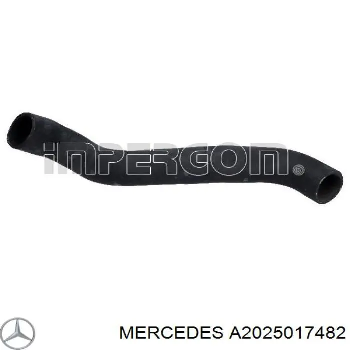 A2025017482 Mercedes шланг (патрубок радиатора охлаждения нижний)