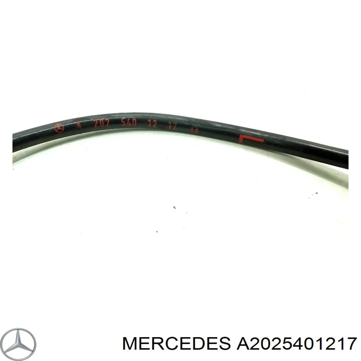  A2025401217 Mercedes