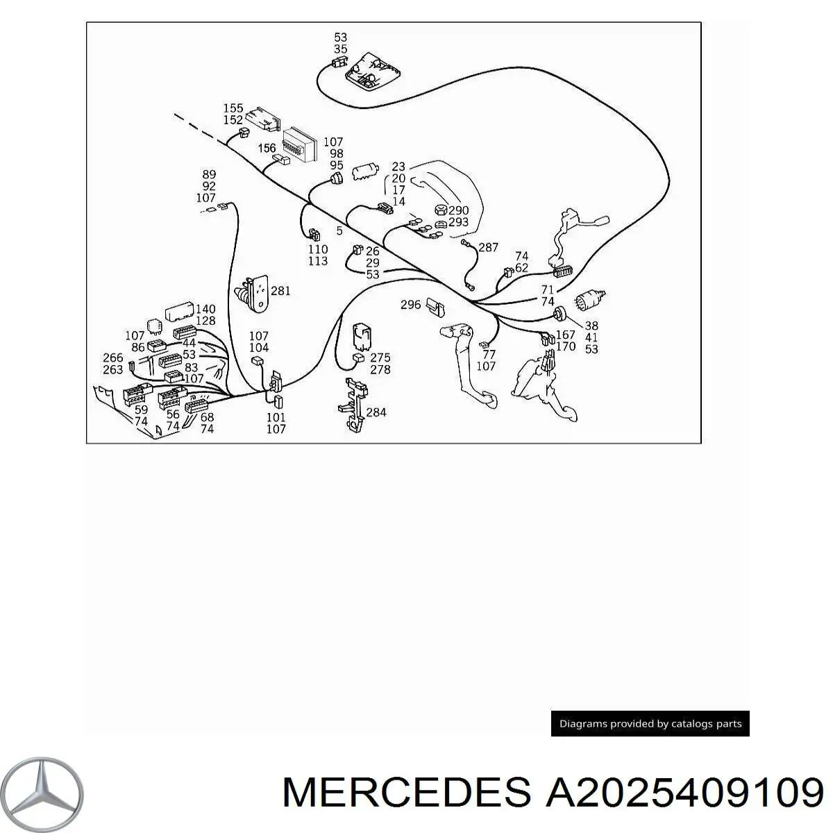 A2025409109 Mercedes 