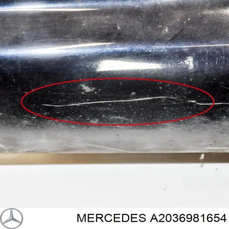 A2036981654 Mercedes 