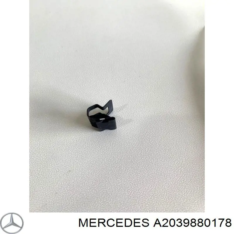 A2039880178 Mercedes 