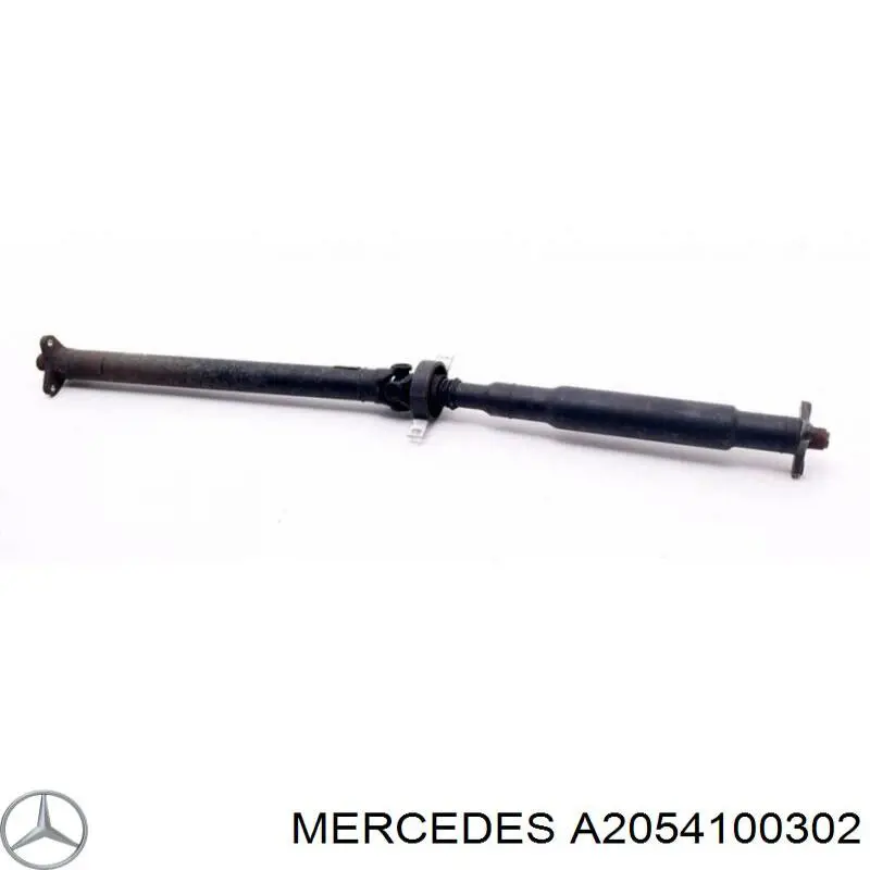 2054100302 Mercedes 