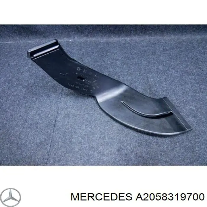 A2058319700 Mercedes 