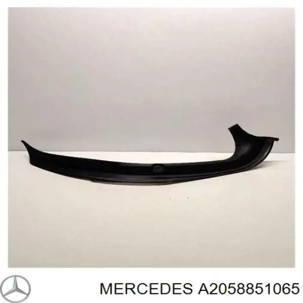 2058851065 Mercedes Кронштейн бампера переднего центральный