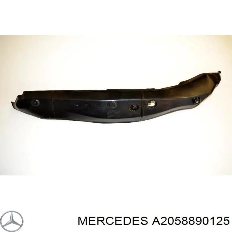  A2058890125 Mercedes