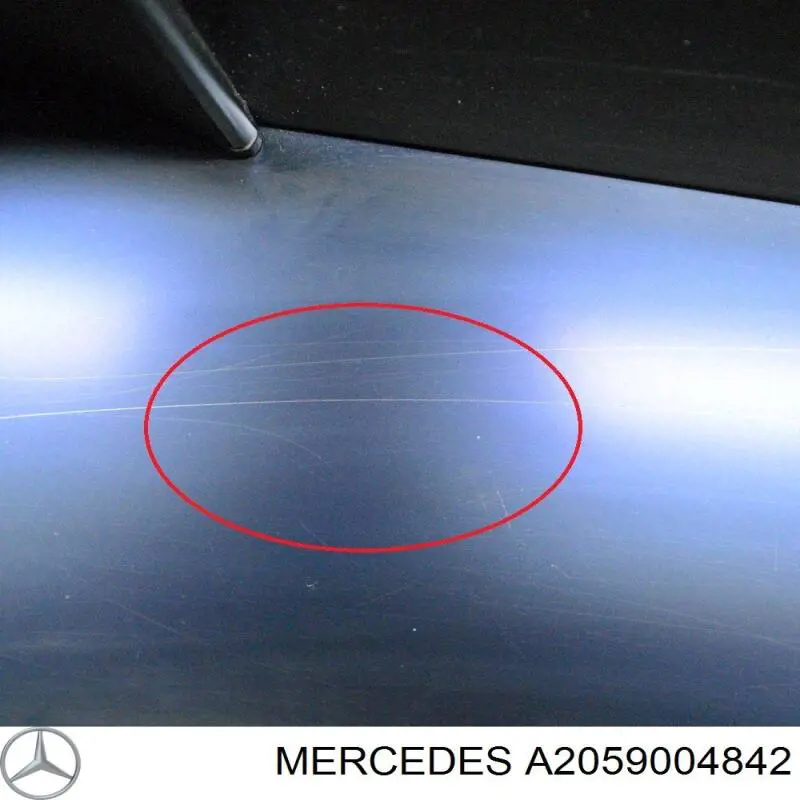  A2059004842 Mercedes