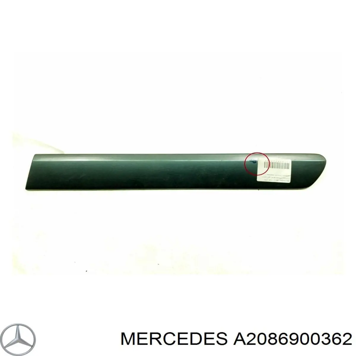 A20869003629999 Mercedes 