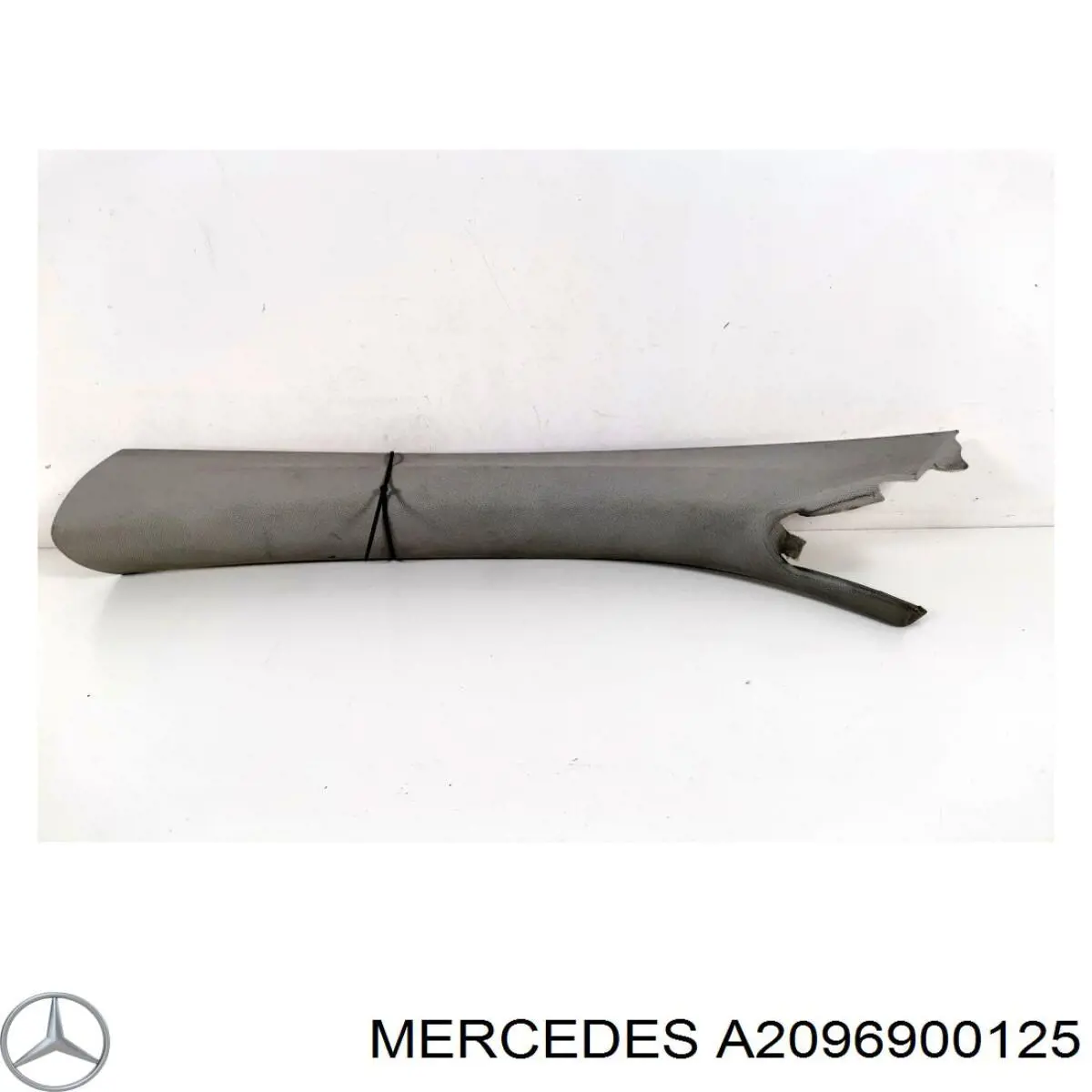  2096900125 Mercedes