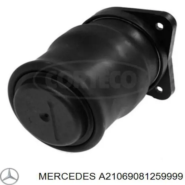 Купить A21069081259999 Mercedes Накладка (молдинг) порога наружная левая