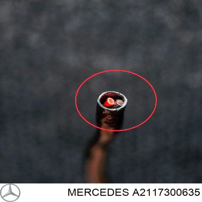 A2117300635 Mercedes fecho da porta traseira direita