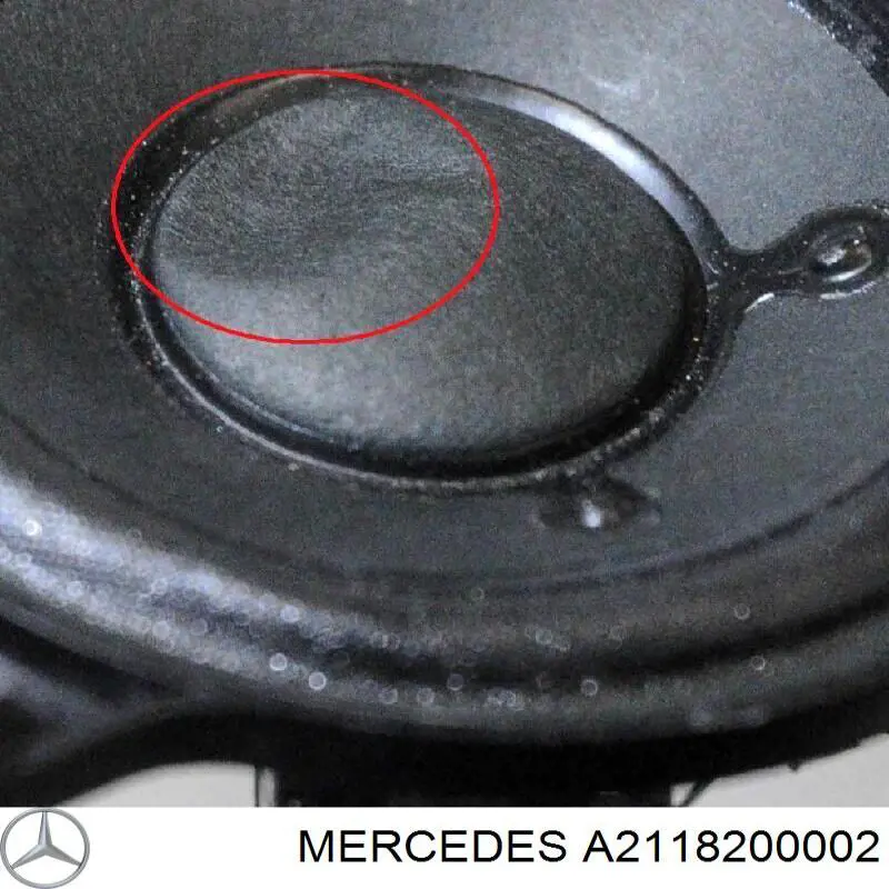 2118200002 Mercedes 