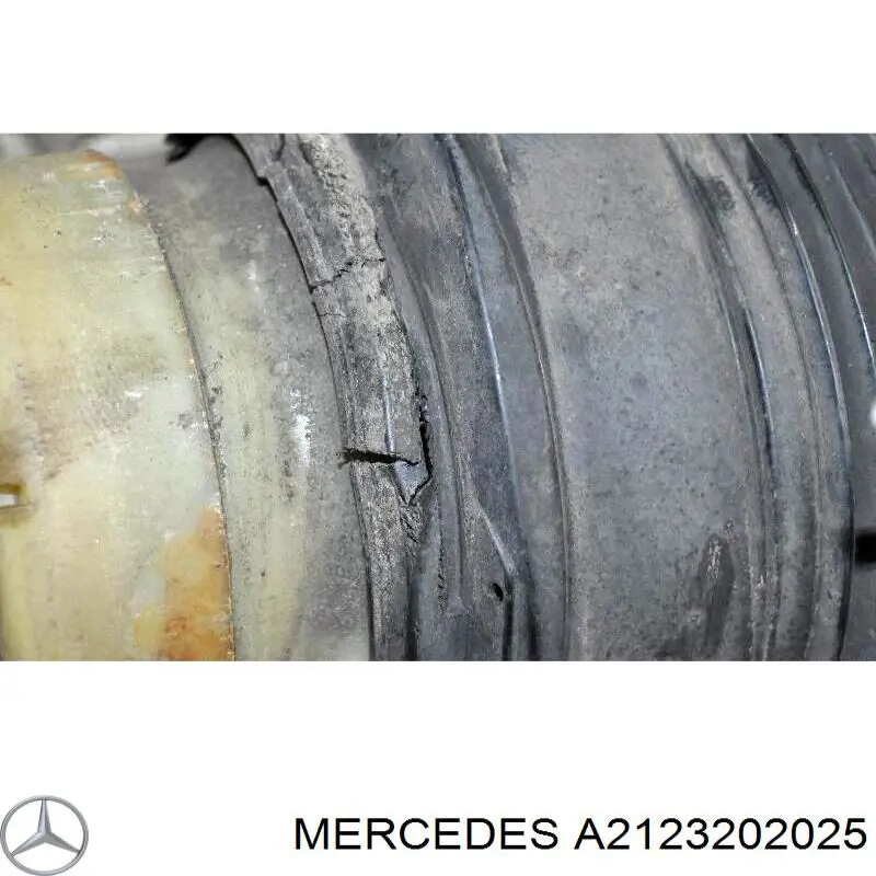 A2123202025 Mercedes coxim pneumático (suspensão de lâminas pneumática do eixo traseiro)