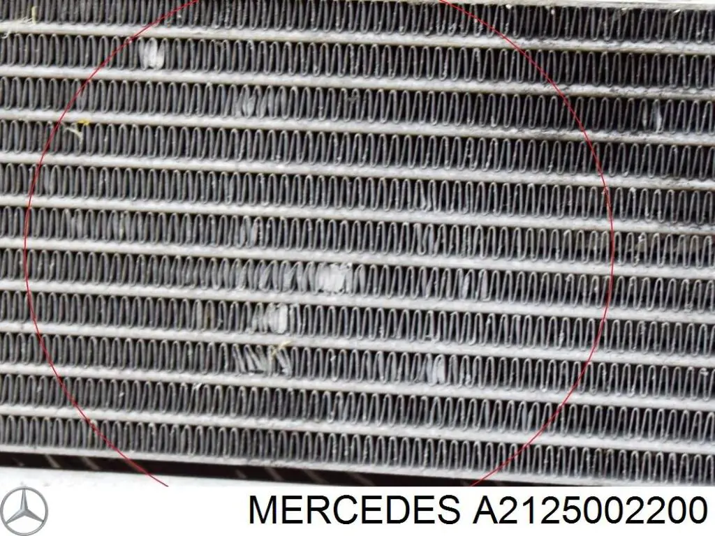 2125002200 Mercedes 