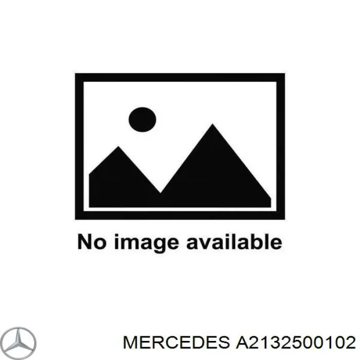 A2132500102 Mercedes 