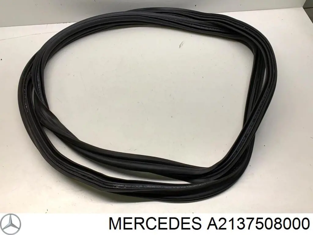  2137508000 Mercedes