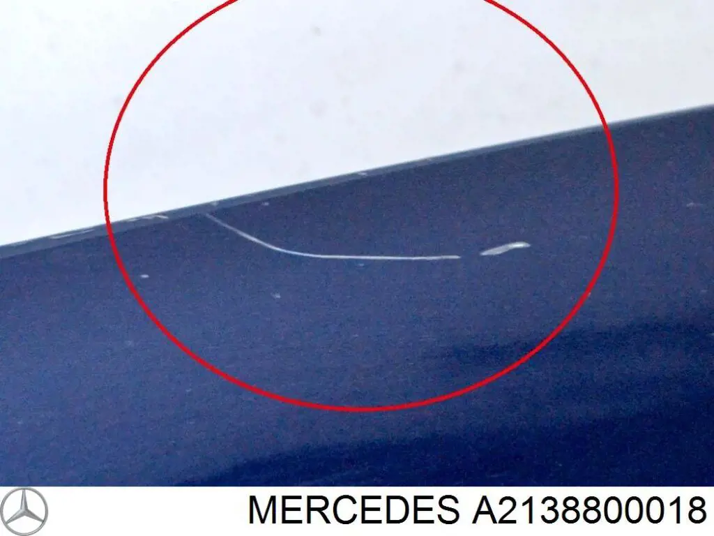 Pára-lama dianteiro direito Diederichs 1618006 preço, a partir de 426,15 USD