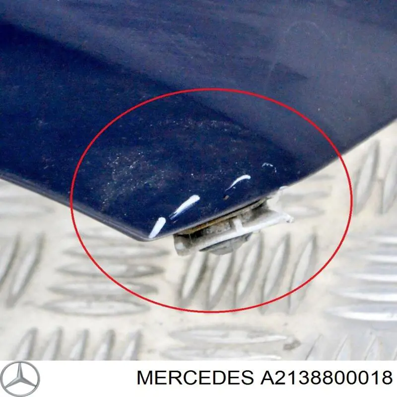 Compre 1618006 Diederichs Pára-lama dianteiro direito