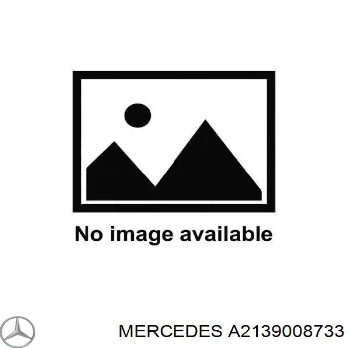 A2139008733 Mercedes 