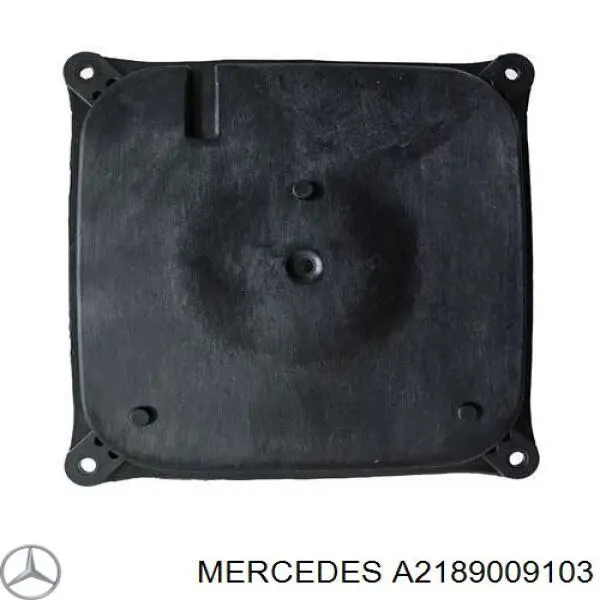 A2189009103 Mercedes Блок управления освещением