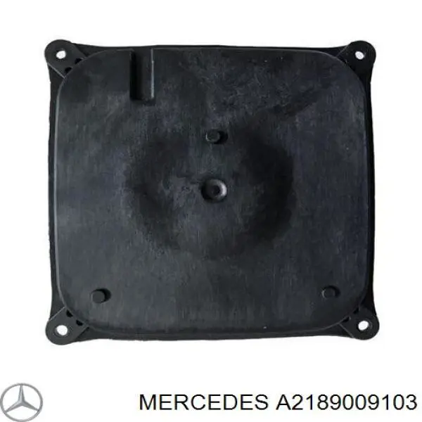 Блок управления освещением Mercedes A2189009103 цена, от 88.69 USD