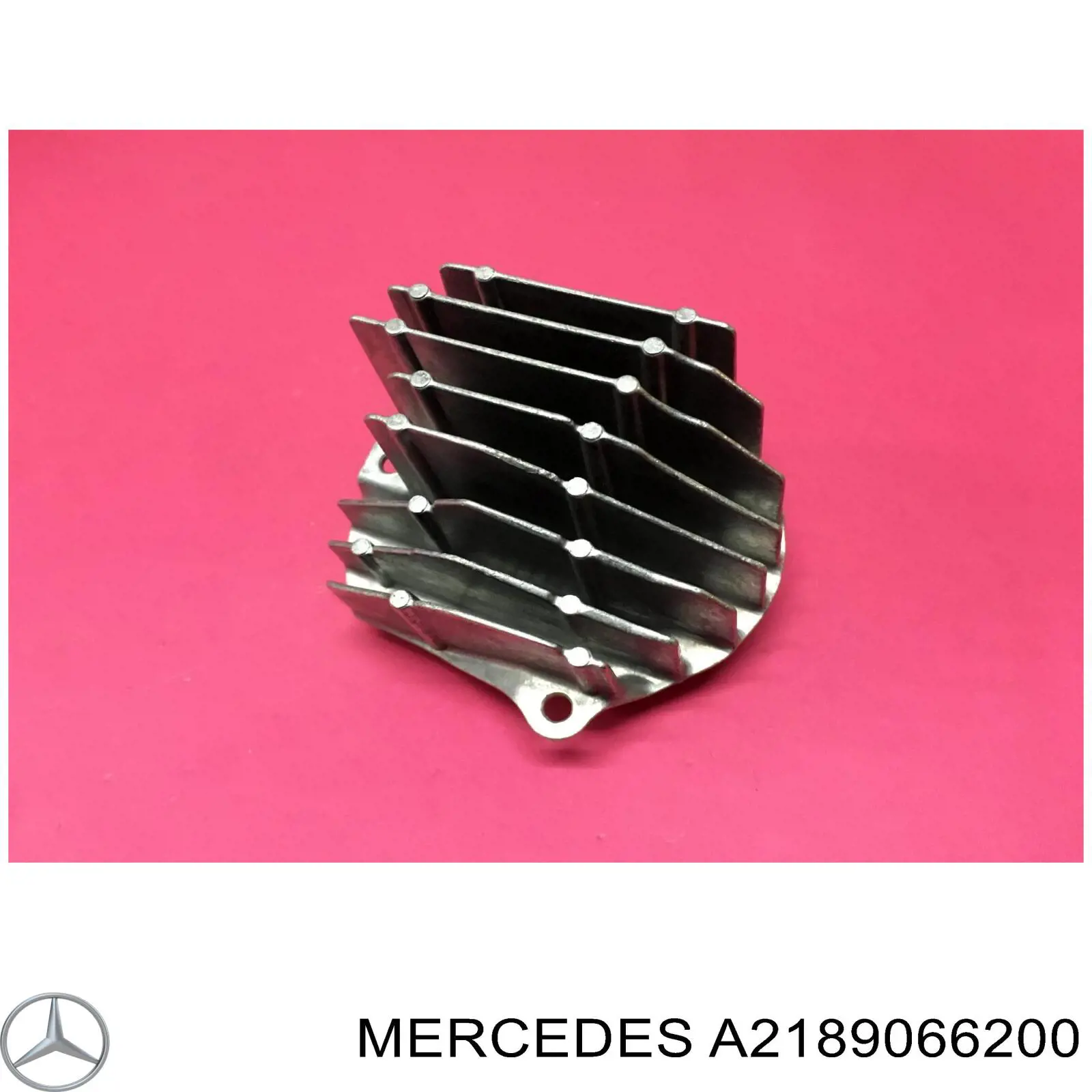 A2189066200 Mercedes 